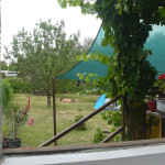 paty-2025_19