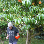 paty-2025_35