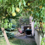 paty-2025_76